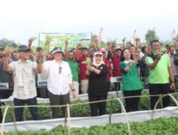 Bupati Bojonegoro Serahkan Bibit Tembakau kepada Petani