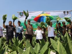 Produktivitas Hasil Panen Meningkat Bupati Jombang Apresiasi Hasil Kinerja Dinas Pertanian Kabupaten Jombang