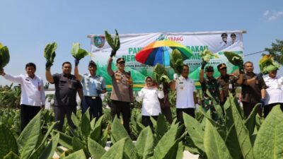 Produktivitas Hasil Panen Meningkat Bupati Jombang Apresiasi Hasil Kinerja Dinas Pertanian Kabupaten Jombang
