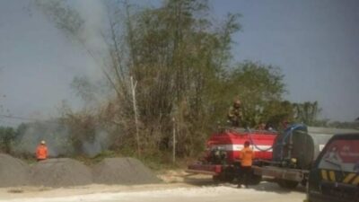 BPBD Bojonegoro Gerak Cepat Padamkan Api Di Lahan Warga Mulyoagung
