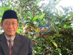 Dinas Pertanian Jombang Berikan Support Petani Kopi Dari Hulu Sampai Hilir