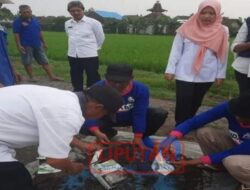 Dalam Rangka Pencapaian Swasembada Gula Konsumsi Dispertan Jombang Lakukan Ini