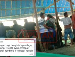 Didi Sungkono : Marak Judi Sabung Ayam Di Jawa Timur Butuh Ketegasan Kapolda Jatim