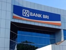 Cara Cek KUR BRI Anda Sudah Dihapus Pemerintah atau Tidak