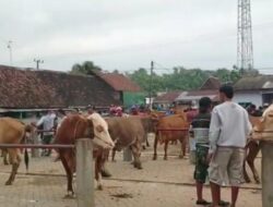 Wabah PMK, Pemkab Jombang Tutup Sementara Pasar Hewan Kabuh