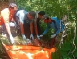 Mayat Pria Ditemukan di Hutan Marmoyo Kabuh Tanpa Identitas