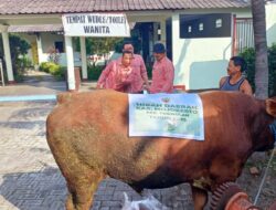 Pemkab Mojokerto Berikan Hibah Sapi untuk Masjid di Jatipasar Kecamatan Trowulan