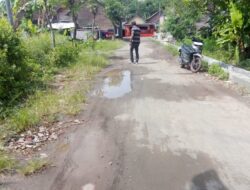 Miris Jalan Rusak di Dusun Temborong, Warga Desa Domas Harap Segera Ada Perbaikan