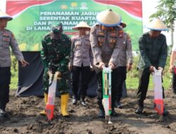 Mendukung Progam Ketahanan Pangan, Kapolres Mojokerto Kota adakan Penanaman Jagung Serentak Kuartal III Di Lahan Seluas 1 hektar