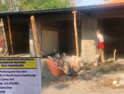 Bangun Lima Kios, Desa Randubango Dorong Pertumbuhan Ekonomi Warga