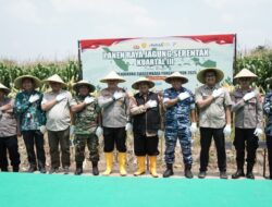 Bupati Jombang Warsubi Hadiri Panen Raya Jagung Serentak di Desa Keras
