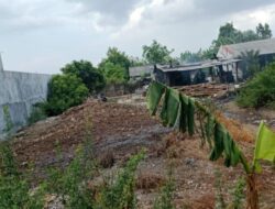 Warga Desa Jumeneng Resah Akibat Bau Limbah Usaha Krecek Sapi