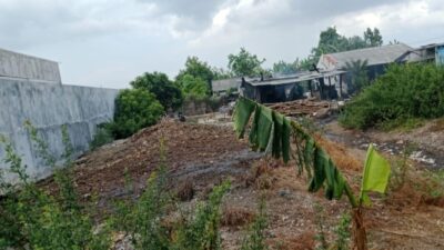 Warga Desa Jumeneng Resah Akibat Bau Limbah Usaha Krecek Sapi