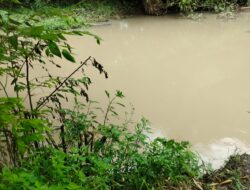 Bantaran Sungai Kertoharjo Tergerus Abrasi, Warga Mojokerto Hidup dalam Kekhawatiran