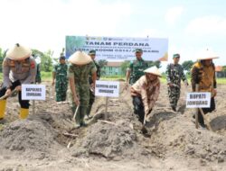 Wujudkan Swasembada Gula 2028, Pemkab Jombang dan Kodim 0814 Launching Tanam Tebu Perdana
