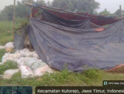 Keluhan Limbah Kotoran Hewan di Pandesari Mojokerto Menguat, Warga Tuntut Tindakan Tegas