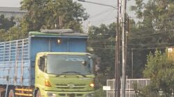 Pengaduan Masyarakat Akhirnya Direspons, Lampu PJU dan Lampu Peringatan Terpasang di Perempatan Joko Kendil, Jalur Tengkorak Mulai Lebih Aman